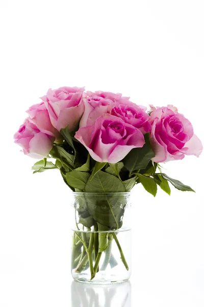 Pink roses — Stock Photo, Image