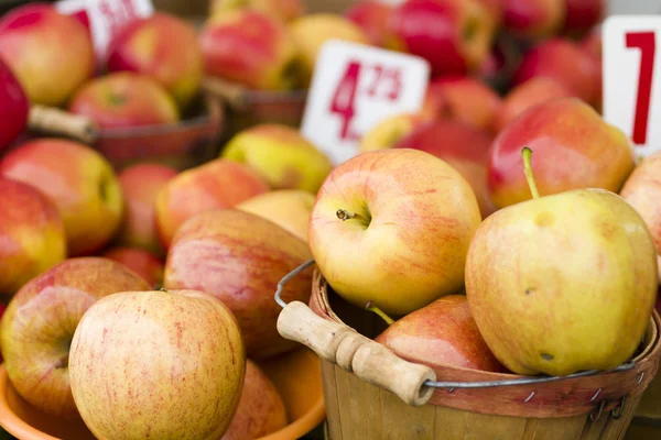 Frische Produkte — Stockfoto