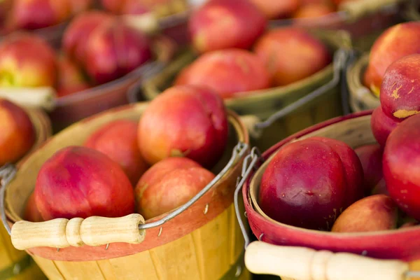 Frische Produkte — Stockfoto