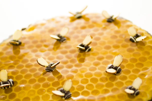 Torta de mel — Fotografia de Stock