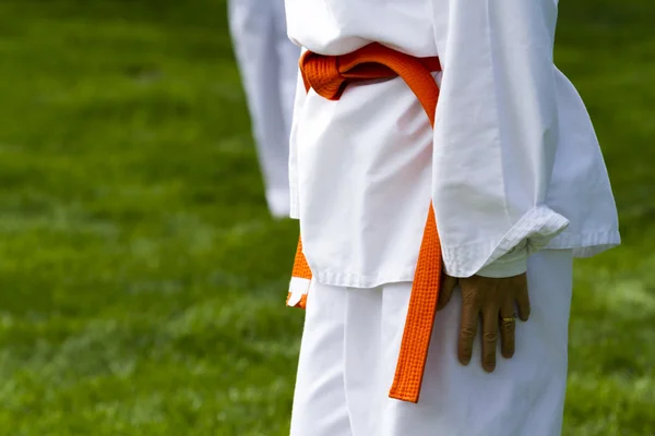 Tae Kwon Do — Stock Photo, Image