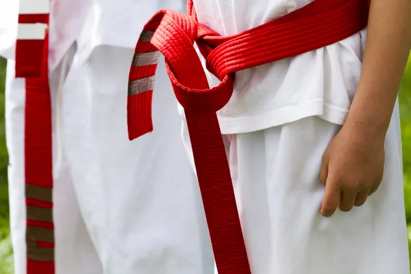 Tae Kwon Do. — Foto de Stock