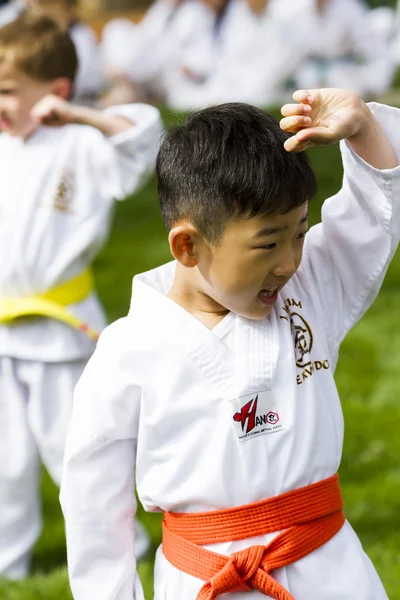 Tae-kwon-do — Fotografia de Stock