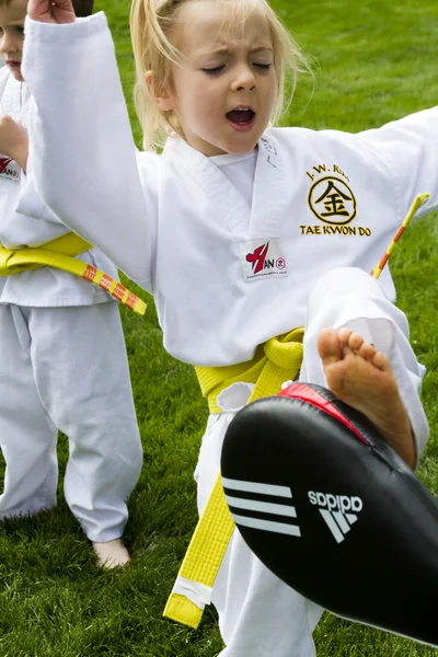 Tae-kwon-do — Fotografia de Stock