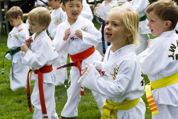 Tae-kwon-do — Fotografia de Stock