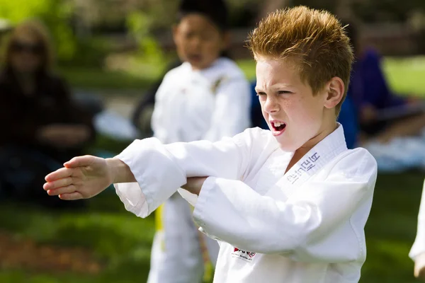 Tae-kwon-do — Fotografia de Stock