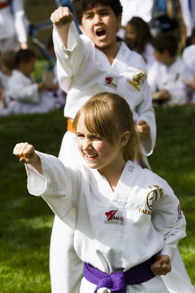 Tae Kwon Do — Stock Photo, Image