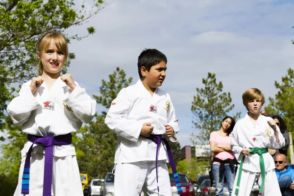 Taekwondo — Foto Stock