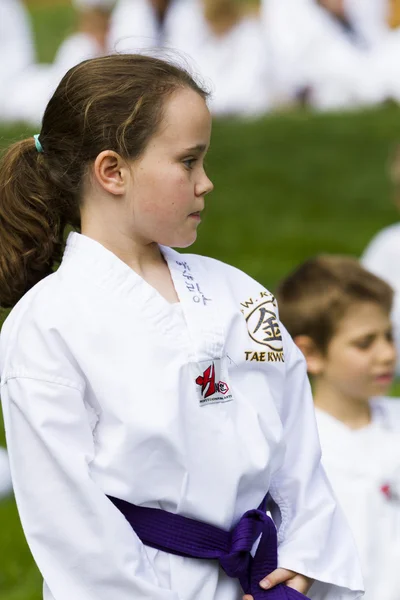 Tae Kwon Do — Stock Photo, Image