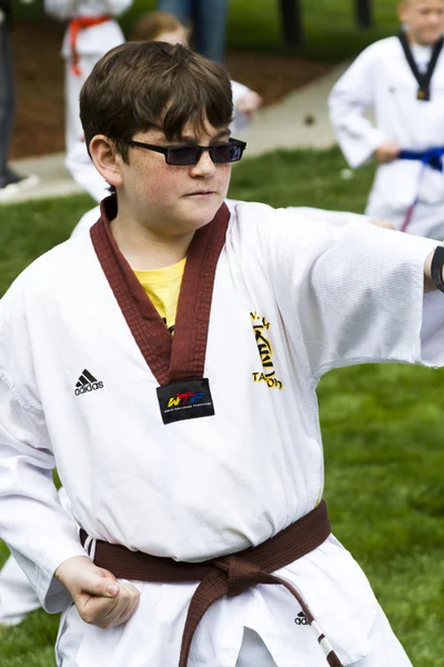 Tae Kwon Do. — Foto de Stock