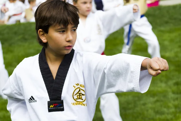 Tae-kwon-do — Fotografia de Stock