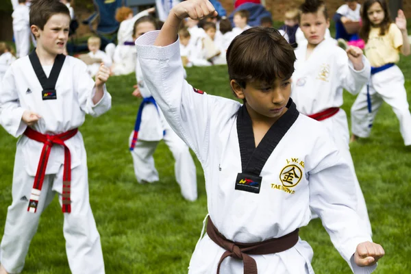 Taekwondo — Foto Stock