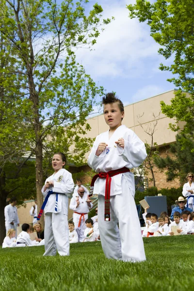 Tae-kwon-do — Fotografia de Stock