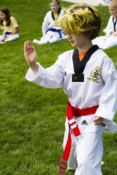 Tae-kwon-do — Fotografia de Stock