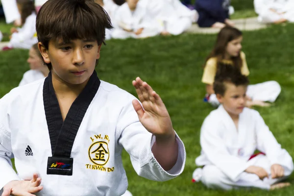 Tae-kwon-do — Fotografia de Stock