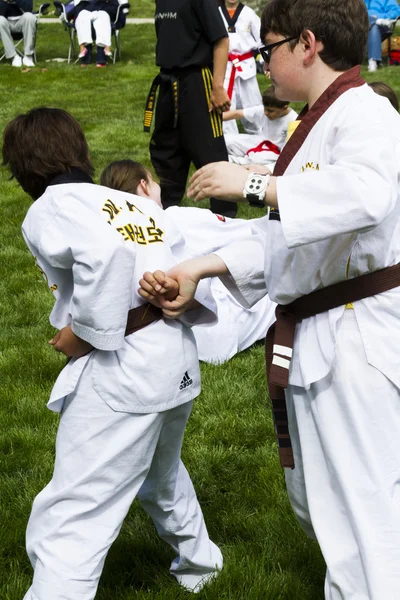 Tae Kwon Do — Stok Foto