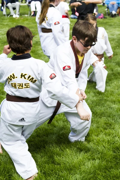 Taekwondo — Foto Stock
