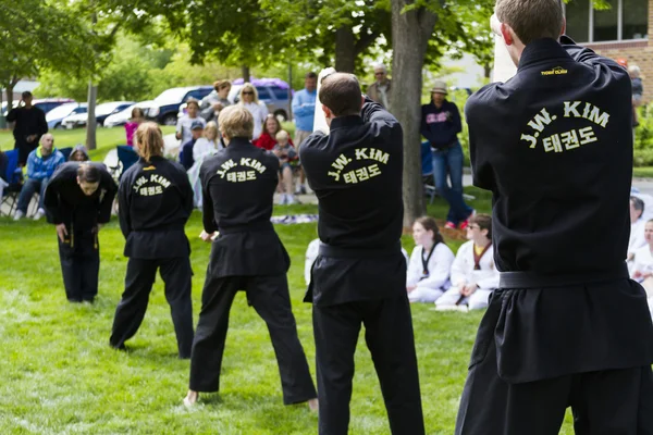 Tae Kwon Do. — Foto de Stock