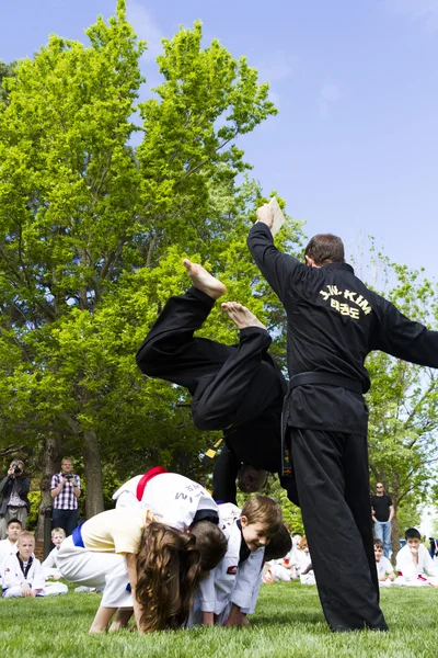 Tae Kwon Do. — Foto de Stock