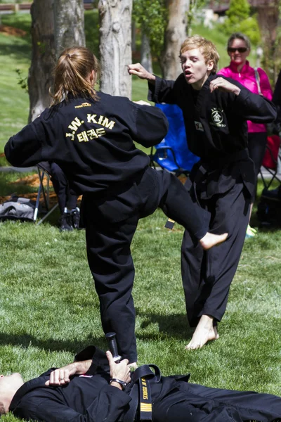 Tae Kwon Do — Stock Photo, Image