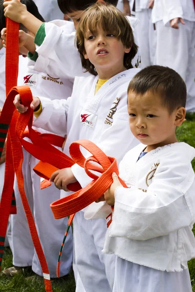 Taekwondo — Foto Stock