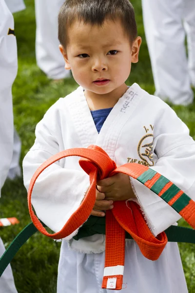 Tae Kwon Do. — Foto de Stock