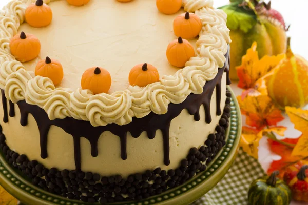 Pumpkin cake — Stock Photo, Image