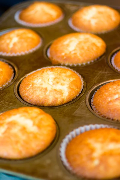 Baking — Stock Photo, Image