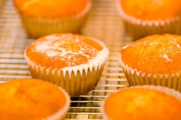 Baking — Stock Photo, Image