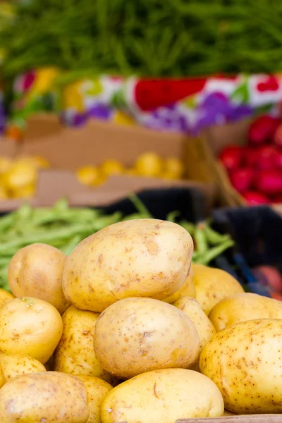 Färsk produkt — Stockfoto