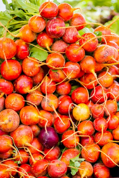 Fresh produce — Stock Photo, Image