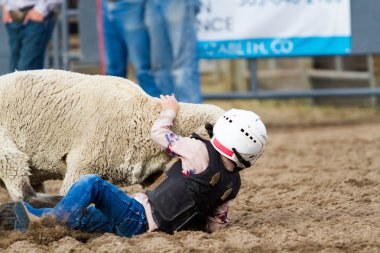 Rodeo