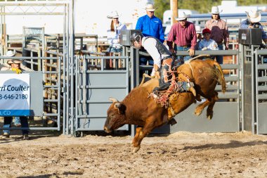 Rodeo