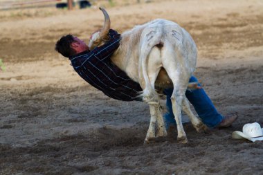 Rodeo