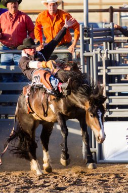 Rodeo