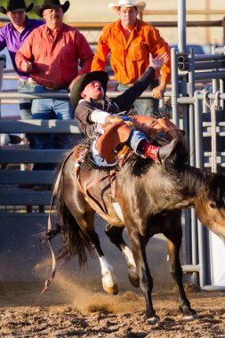 Rodeo