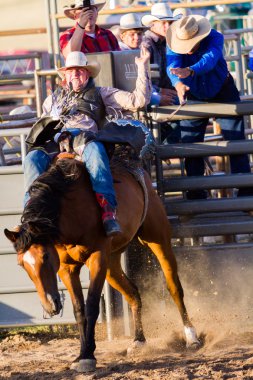 Rodeo