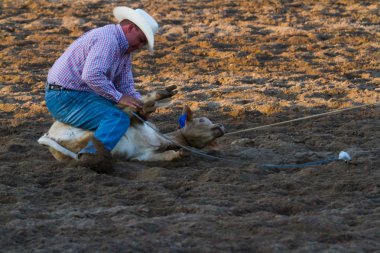 Rodeo