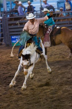 Rodeo