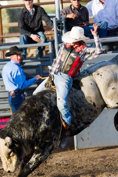 Rodeo Ordförande — Stockfoto