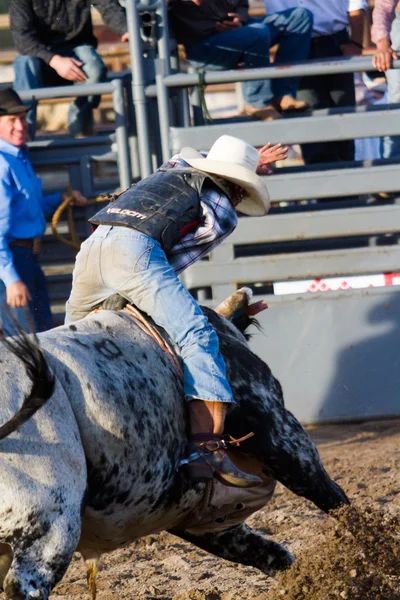 Rodeo Ordförande — Stockfoto