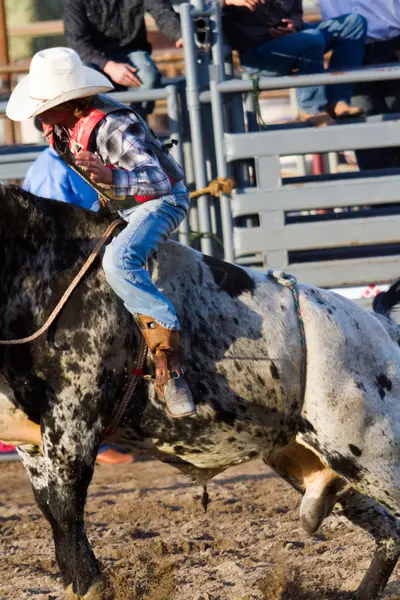 Rodeo — Stockfoto