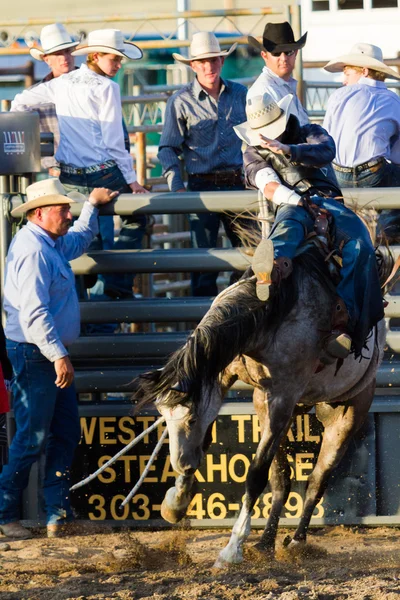 Charreada — Foto de Stock