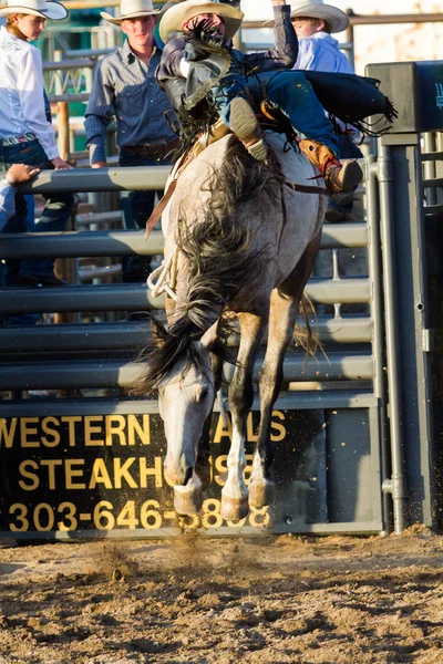 Rodeo Ordförande — Stockfoto