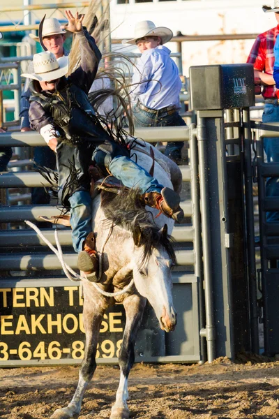 Rodeo — Stock Photo, Image