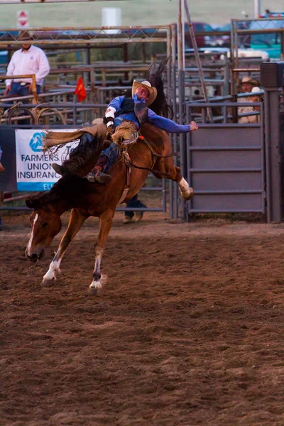 Rodeo Ordförande — Stockfoto