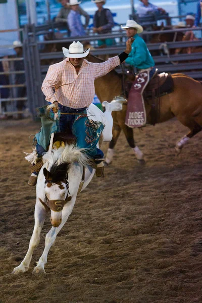 Rodeo. — Zdjęcie stockowe