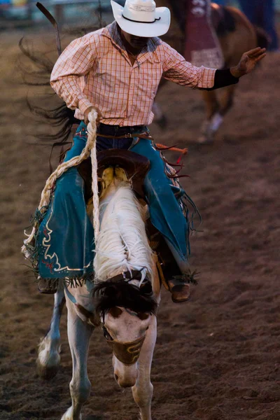 Rodeo Ordförande — Stockfoto