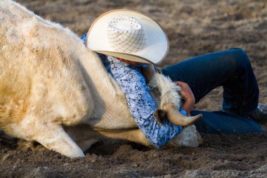 Rodeo