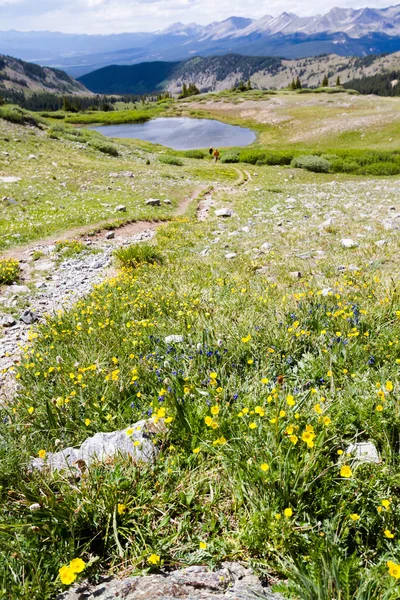 Mountains — Stock Photo, Image